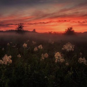 免费观看已满十八岁电视剧直播抖音
