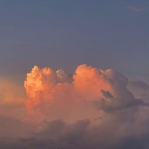 免费观看已满十八岁电视剧直播抖音
