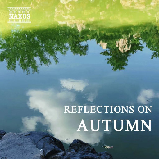 免费观看已满十八岁电视剧直播抖音
